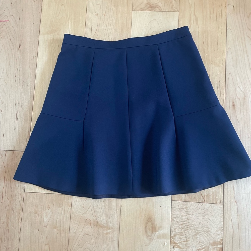 J Crew Navy Circle Mini